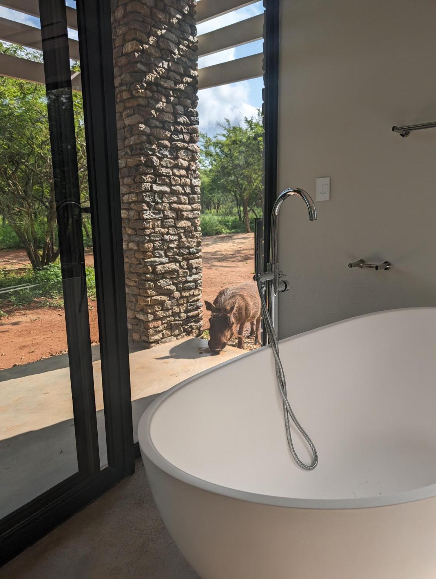 Ungava Retreat Villa Marloth Park Ngoại thất bức ảnh