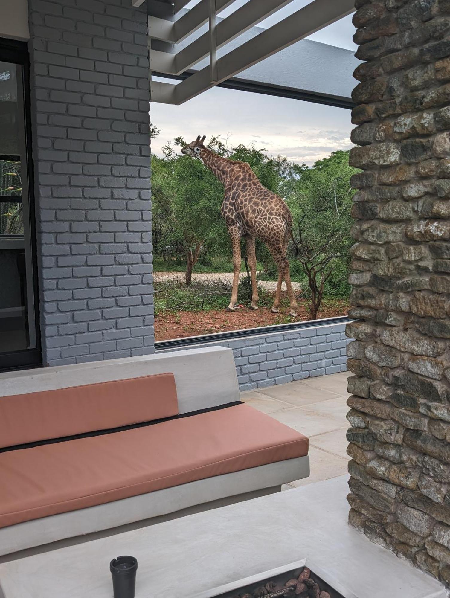 Ungava Retreat Villa Marloth Park Ngoại thất bức ảnh